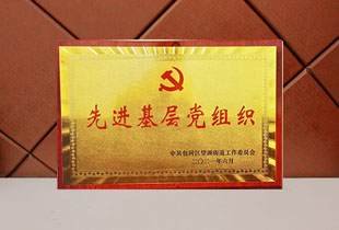 先进基层党组织