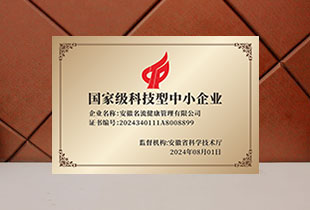 高新技术中小企业